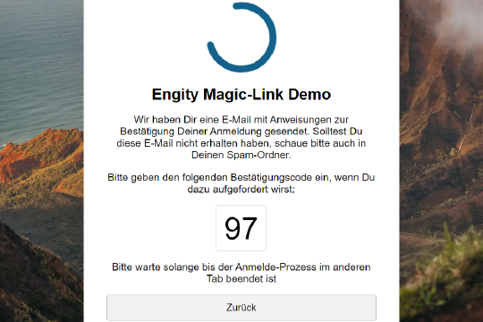 Screenshot des passwortlosen Magic Link Spinner-Prozesses von Engity