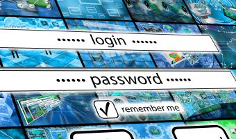Zwei Eingabefelder für den Login und die Passworteingabe, die einen klassischen Passwort-Zugangsbildschirm zeigen