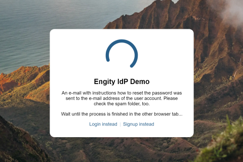 Screenshot of Engity's demo password reset